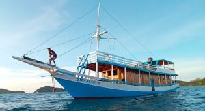 Klm Qofiza Komodo Boat tour