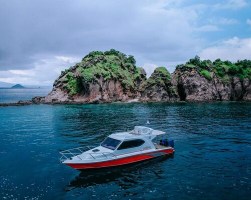 Full day tour komodo | Discovery Komodo Adventure I Komodo Tour Package I Flores island tour I Komodo Tours Adventure I Travel to komodo Flores | Discovery Komodo Adventure I Komodo Tour Package I Flores island tour I Komodo Tours Adventure I Travel to komodo Flores Private speed boat tour komodo