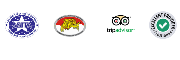 Discovery Komodo adventure Travel Partners