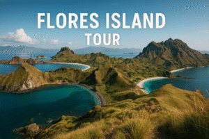 Flores island tour