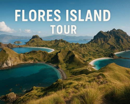 Flores island tour