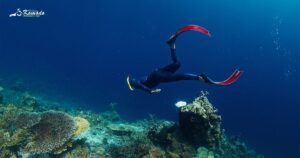 Diving suit